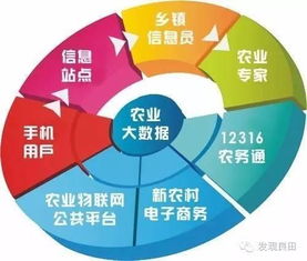 未來三年，中國農業即將步入大數據時代