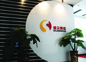 盛元網(wǎng)絡(luò)科技圖冊(cè) 探索前沿網(wǎng)絡(luò)技術(shù)的視覺盛宴